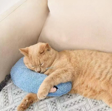 🐾💤 ¡Tu mascota también merece un descanso lleno de amor 🥰