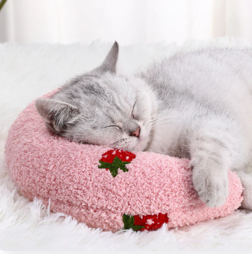 🐾💤 ¡Tu mascota también merece un descanso lleno de amor 🥰
