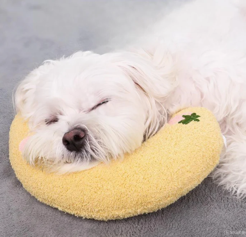 🐾💤 ¡Tu mascota también merece un descanso lleno de amor 🥰
